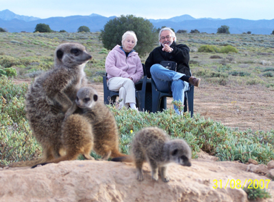 watch film meerkat meerkats suricate suricates tour tours magic 11113.jpg